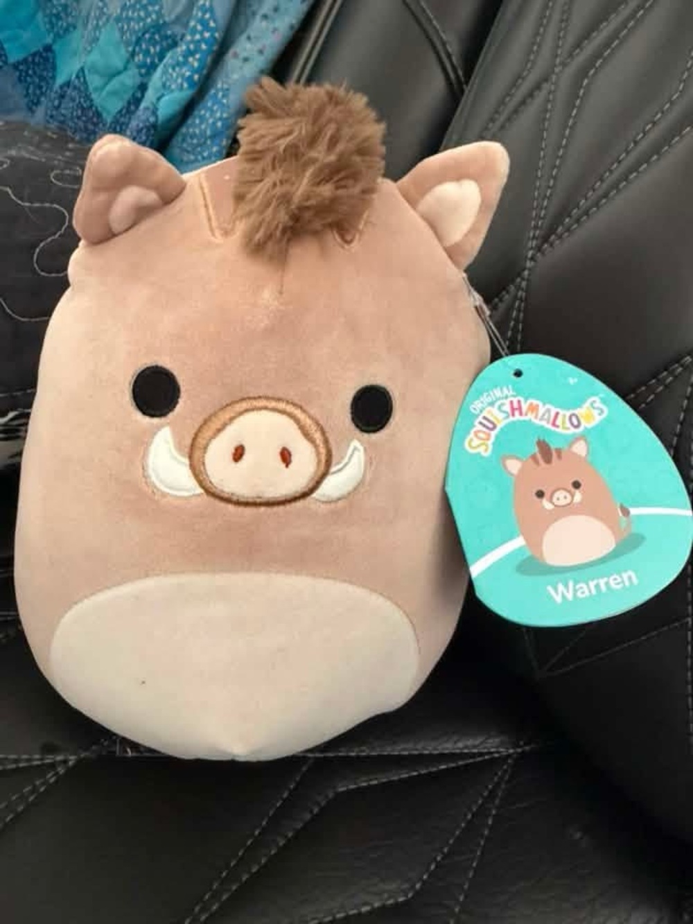 NWT Squishmallow